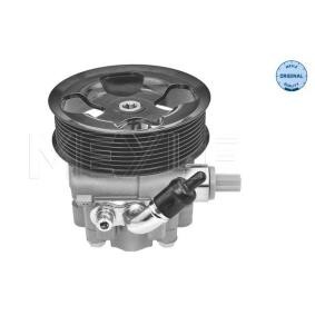 Servopumpe 53-14 631 0000