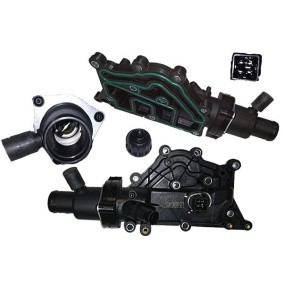 Achetez des Boîtier du thermostat BUGIAD BMC19201 à prix pour 82,38 €