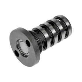 Comprar Válvula control, ajuste de levas de BUGIAD BMS54506 a bajo precio de 49,91 €