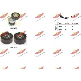 Acquista Kit Cinghie Poly-V da AUTOKIT 06.0013 a buon mercato per soli 123,02 €