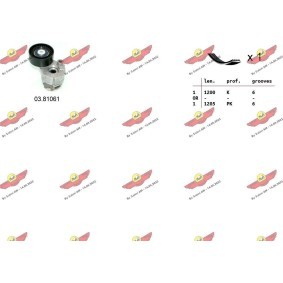 Acquista Kit Cinghie Poly-V da AUTOKIT 06.0034 a buon mercato per soli 110,70 €