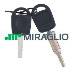 Achetez des Poignée de porte, équipement intérieur MIRAGLIO 80/1036 à prix pour 29,08 €