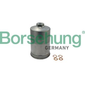 Compre Filtro de combustível da Borsehung B19091 a um preço baixo por 20,99 €