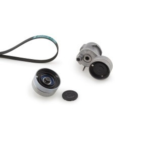 Keilrippenriemensatz K0110PK1703HD für RENAULT TRUCKS