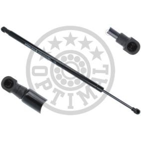 Heckklappendämpfer AG-40545