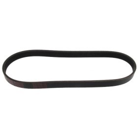 Acquista Cinghia servizi da MAPCO 260799E a buon mercato per soli 10,11 €