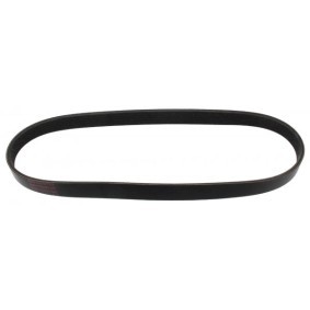 Acquista Cinghia servizi da MAPCO 260842E a buon mercato per soli 9,67 €