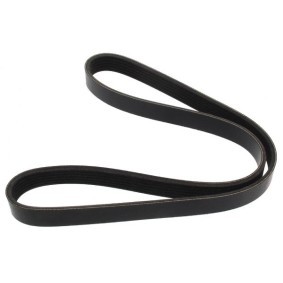 Compre Correia trapezoidal estriada da MAPCO 261029E a um preço baixo por 12,01 €