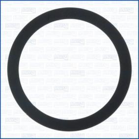 AGR-Ventil-Dichtung 33000800