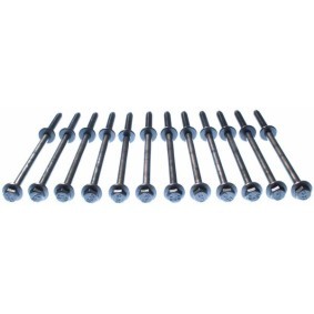 Zylinderkopfschraubensatz GS33361