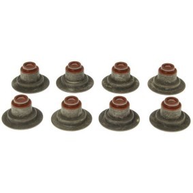 Dichtungssatz, Ventilschaft SS45745