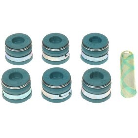 Dichtungssatz, Ventilschaft SS45910
