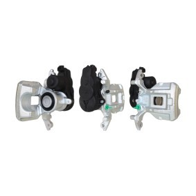 Bremssattel 4202030