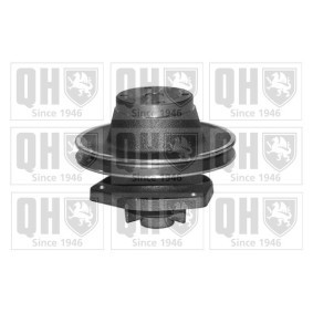 Achetez des Pompe à eau QUINTON HAZELL QCP748 à prix pour 65,91 €
