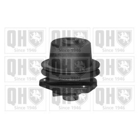 Wasserpumpe QCP749