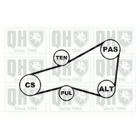 Acquista Kit Cinghie Poly-V da QUINTON HAZELL QDK51 a buon mercato per soli 113,97 €