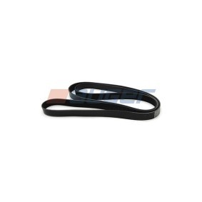 Achetez des Courroie Poly-V AUGER 87738 à prix pour 20,39 €