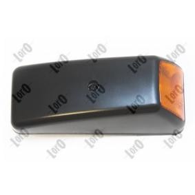 Blinker T01-04-010 für RENAULT TRUCKS