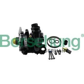Achetez des Kit de réparation, pompe à eau Borsehung B19130 à prix pour 236,30 €