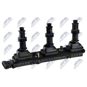 Acquista Bobina d'accensione da NTY ECZ-PL-033 a buon mercato per soli 110,85 €