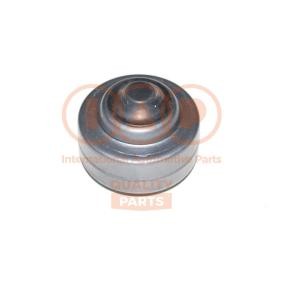 Spannrolle, Zahnriemen für TATA (TELCO) von IAP QUALITY PARTS