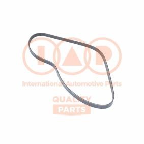 Acquista Cinghia servizi da IAP QUALITY PARTS online per INSIGHT (ZE_) a prezzi moderati