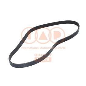 Keilrippenriemen von IAP QUALITY PARTS