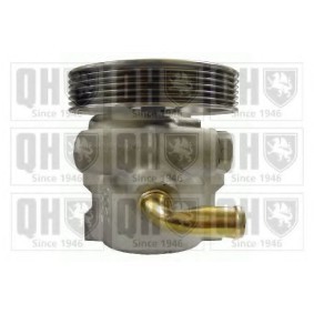 Acquista Pompa idraulica, sterzo da QUINTON HAZELL QSRPA365 a buon mercato per soli 252,91 €