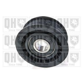 Comprar Polea inversión / guía, correa poli V de QUINTON HAZELL QTA1061 a bajo precio de 22,68 €