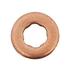 Dichtring, Düsenhalter PL6058 für Focus Mk2 Kasten / Kombi für 19,30 CHF