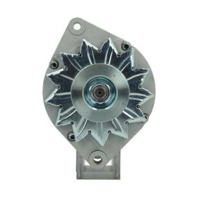 Lichtmaschine 225.001.055.010