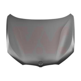 Motorhaube 0684670