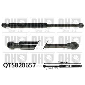 Gasfeder, Tür QTS828657