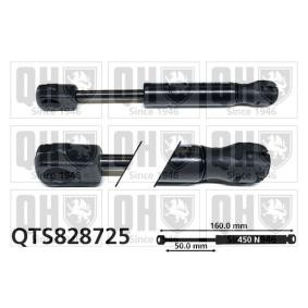 Compre Mala de QUINTON HAZELL online para 19 II Cabriolet (D53_, 853_) a preços moderados