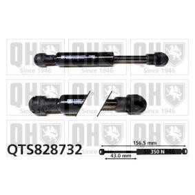 Compre Mala de QUINTON HAZELL online para 19 I Cabriolet (D53_) a preços moderados