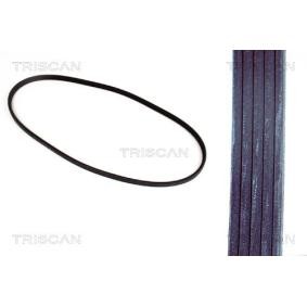 Achetez des Courroie Poly-V TRISCAN 8640 500913 à prix pour 20,94 €