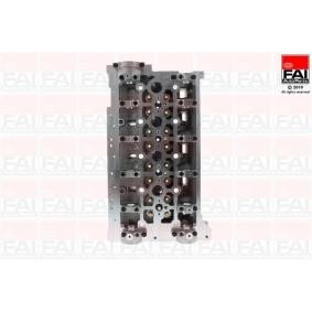 Zylinderkopf für RENAULT von FAI AutoParts