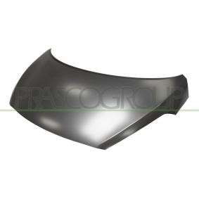 Motorhaube HN0043100