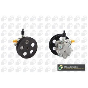 Acquista Pompa idraulica, sterzo da BGA PSP0160 a buon mercato per soli 132,48 €
