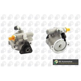 Acquista Pompa idraulica, sterzo da BGA PSP3200 a buon mercato per soli 134,94 €