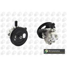 Acquista Pompa idraulica, sterzo da BGA PSP6101 a buon mercato per soli 169,24 €