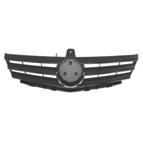 Kühlergrill 6502-07-3506994P