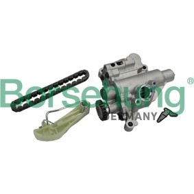 Achetez des Pompe à huile Borsehung B19140 à prix pour 287,16 €