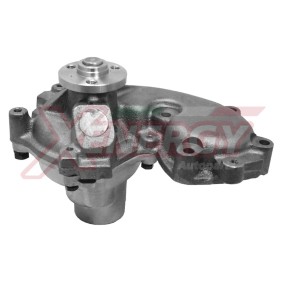 Wasserpumpe X200880 von AP XENERGY günstig für 45,36 € online kaufen