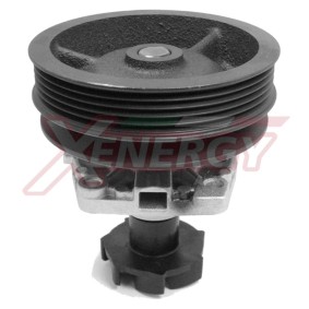 Wasserpumpe X200910 von AP XENERGY günstig für 89,71 € online kaufen