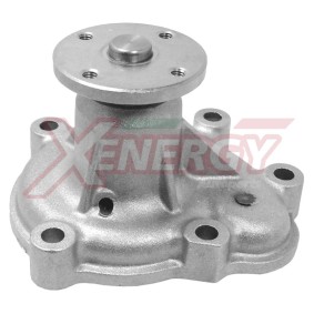 Achetez des Pompe à eau AP XENERGY X204282 à prix pour 66,85 €
