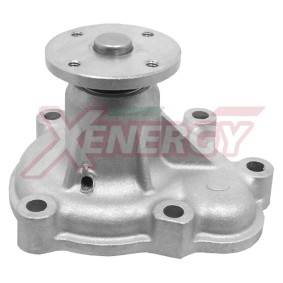 Acquista Pompa acqua da AP XENERGY X204740 a buon mercato per soli 63,30 €