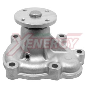Acquista Pompa acqua da AP XENERGY X204760 a buon mercato per soli 68,17 €