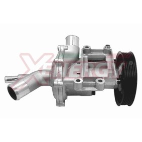 Wasserpumpe X204842 für MINI