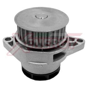 Achetez des Pompe à eau AP XENERGY X205190 à prix pour 65,34 €